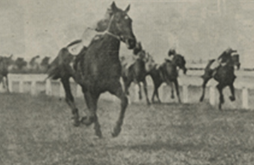 Geelong Cup Finish 1921 - black and white image